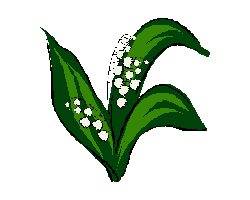 Konvalinka