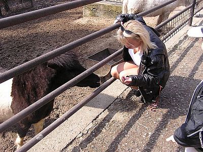 03/05 - krmení v Olomoucké ZOO bylo super